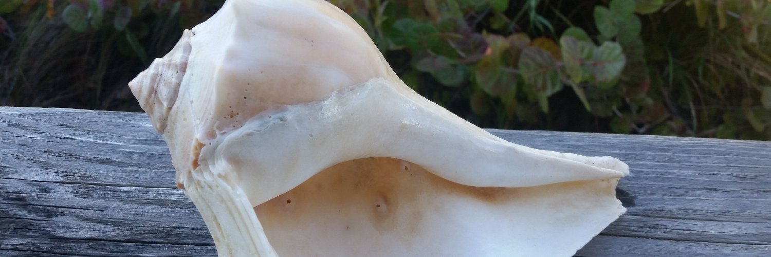 Christopher Merrill banner