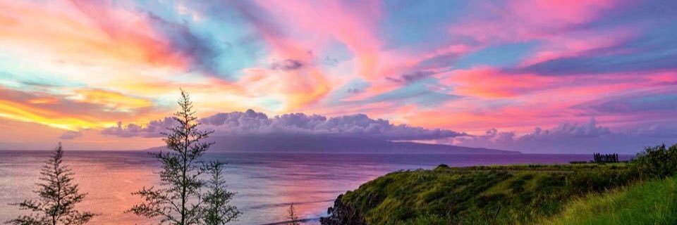 Andrea Gaston banner