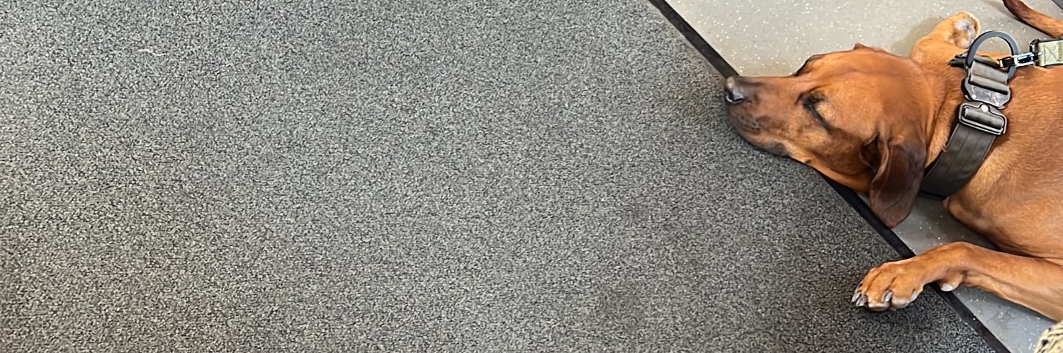 notthisjonas's profile banner image
