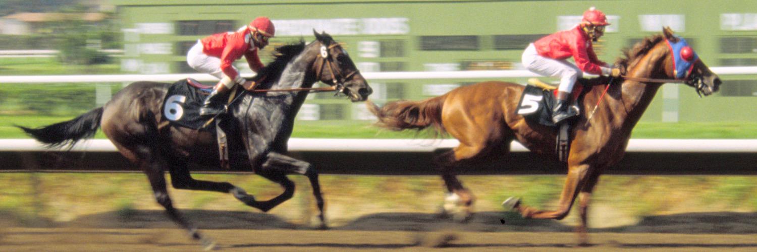 Newmarket Shadow™ banner