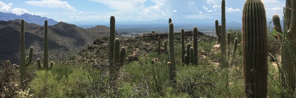 avery__hart Profile Banner