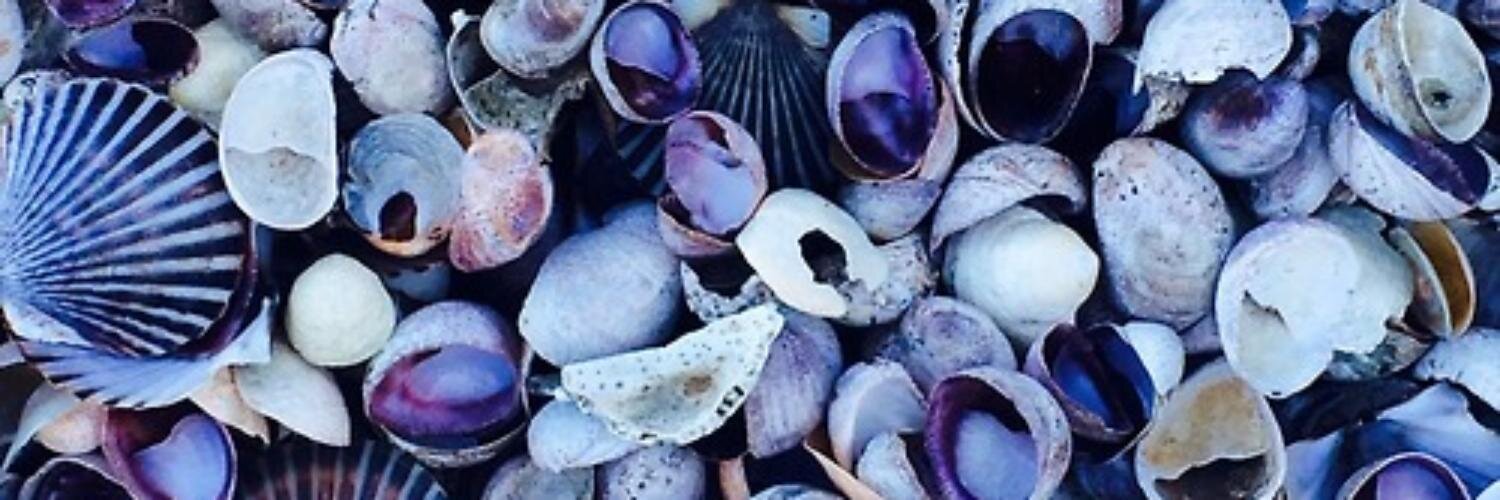GabrielBCosenza's profile banner image