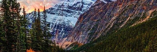 Fezzikman's profile banner image