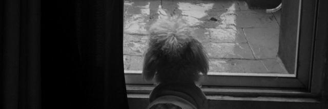 RayberDelBosque's profile banner image
