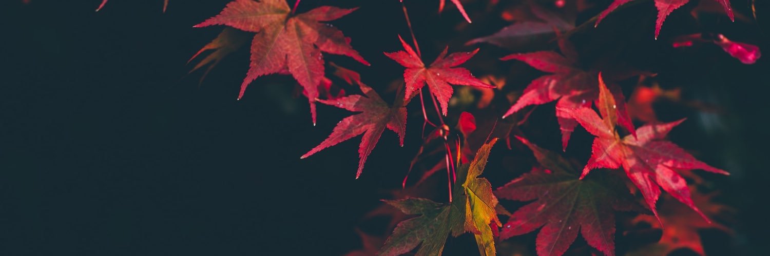 Soham Mukhopadhyay banner