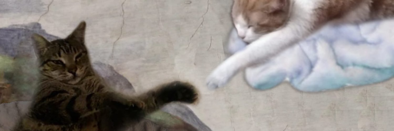 ritesta_'s profile banner image
