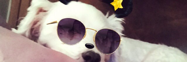 sbuffyrey's profile banner image