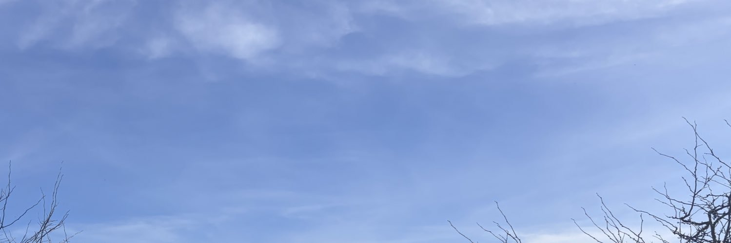Katie Piccininni banner