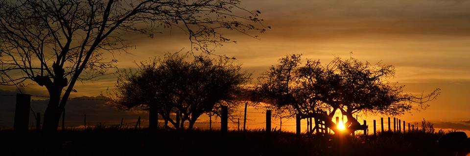 anleemos's profile banner image