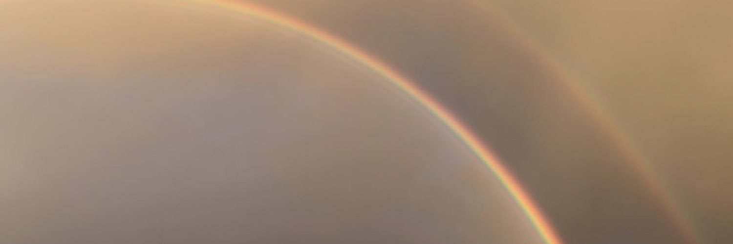 rochyordosm's profile banner image