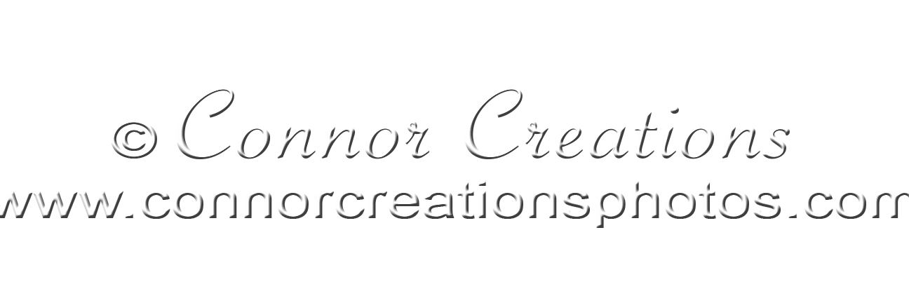 ConnorCreations's profile banner image