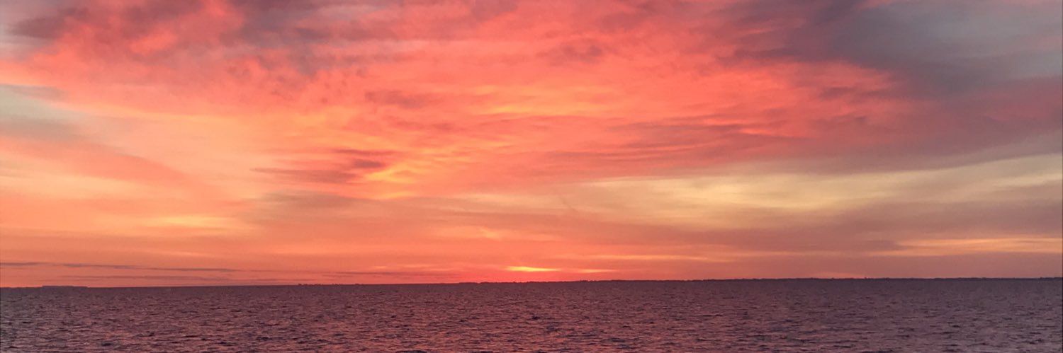 RSchwampe's profile banner image