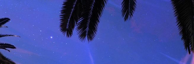 sarelybeert's profile banner image