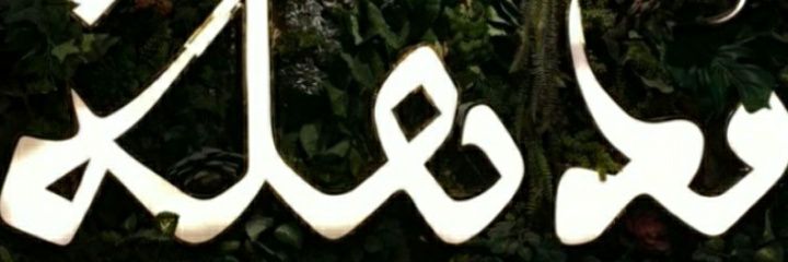 haaz255's profile banner image