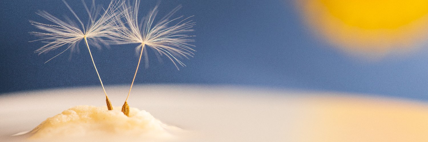 BASKPhotography's profile banner image