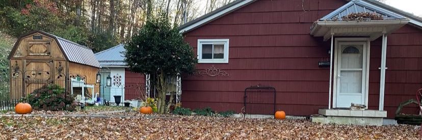 Dylan banner