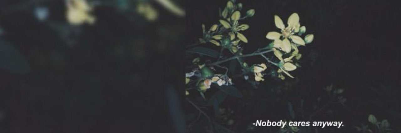 BriaAmour's profile banner image