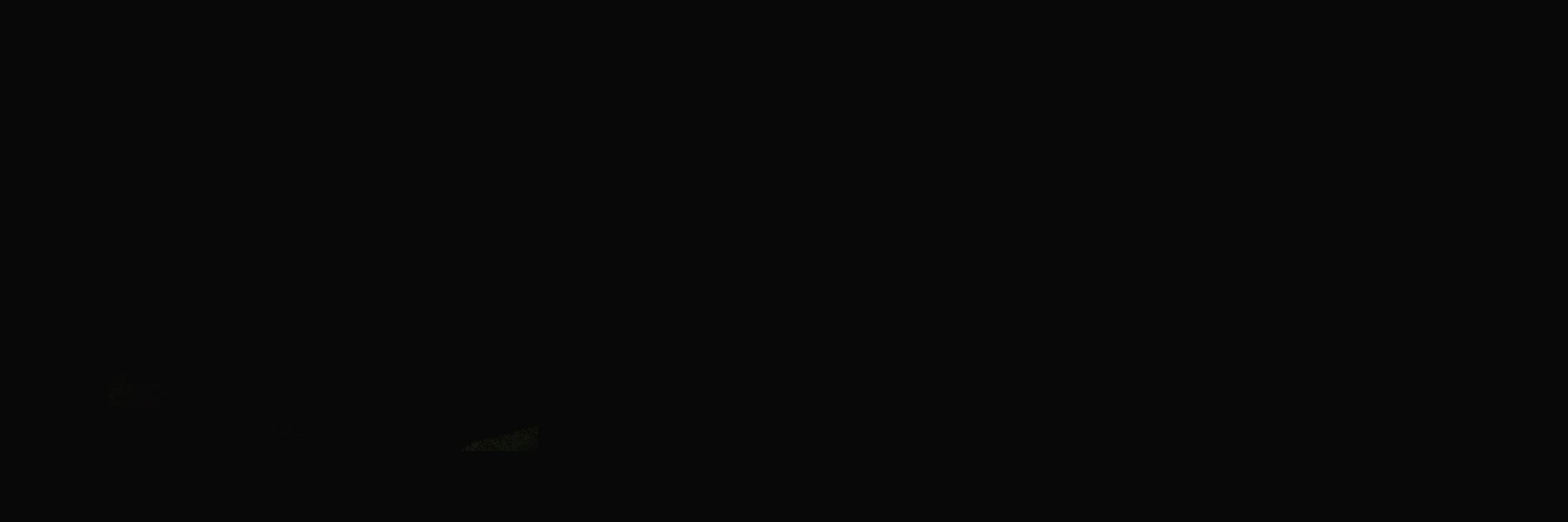 LTHL banner