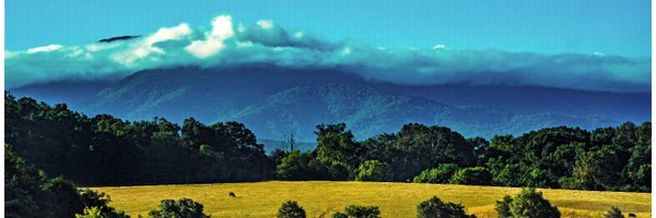 mbran1 Profile Banner