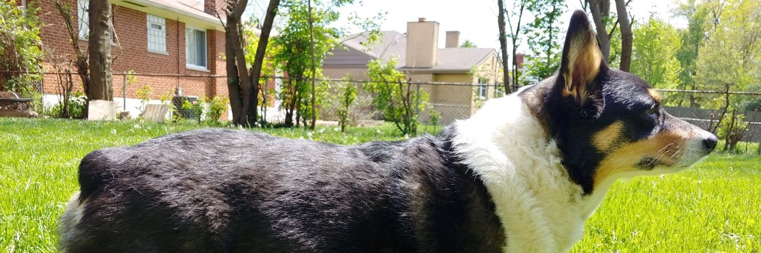 Gatortots4's profile banner image