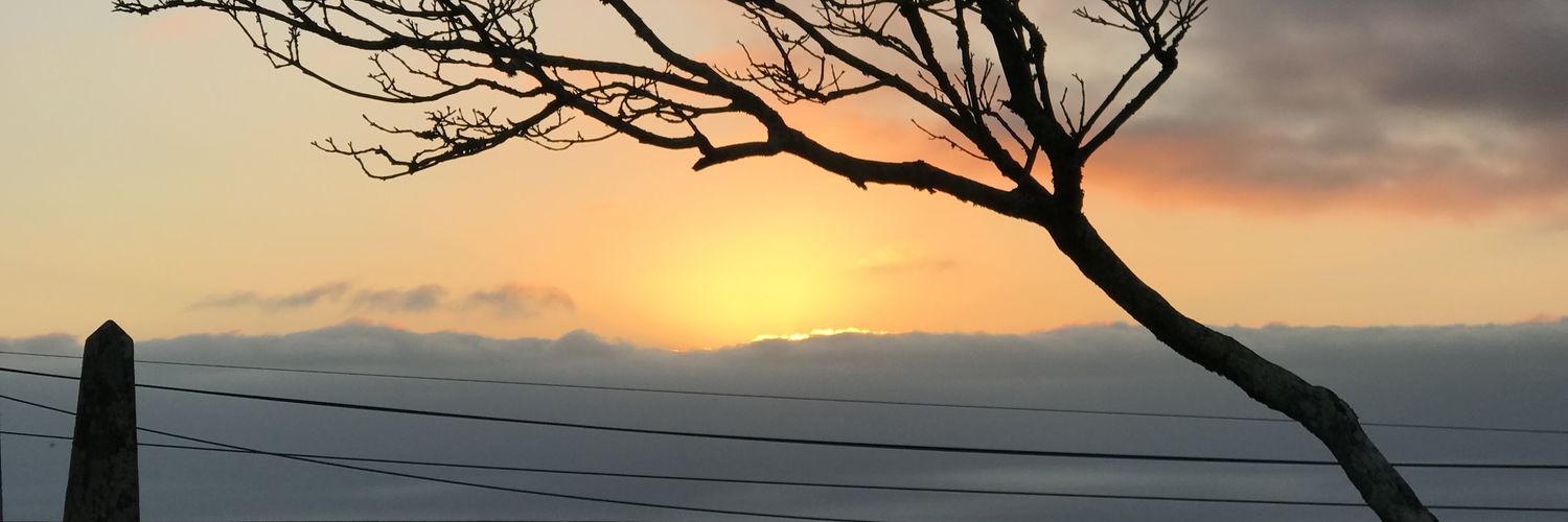 mfpardo's profile banner image