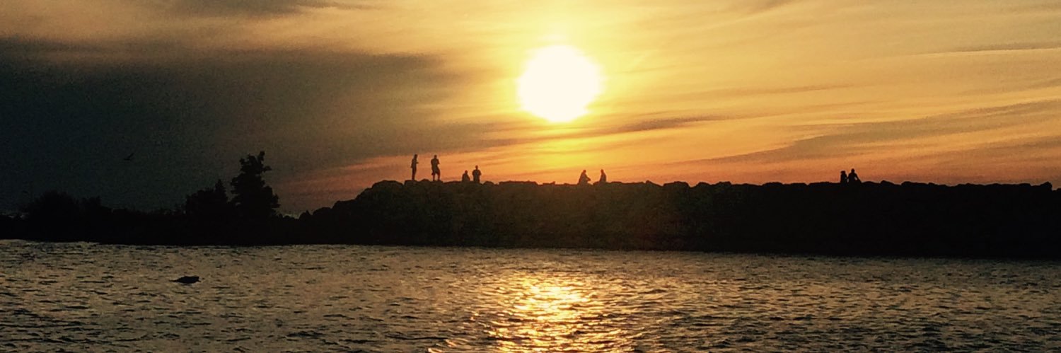 Michelle Velotta banner