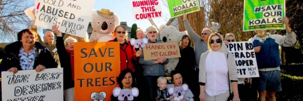 packhorse12 Profile Banner