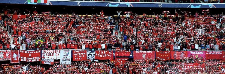 stephenschuh's profile banner image