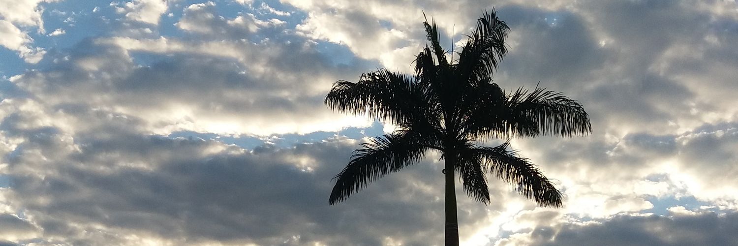 MohringGabriel's profile banner image