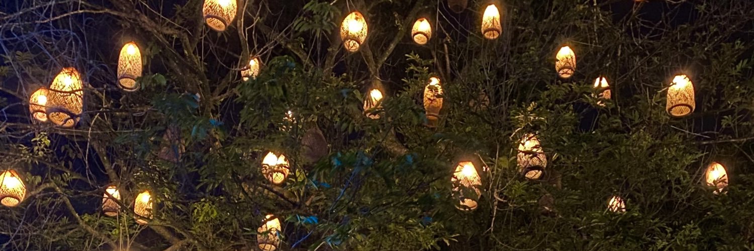 camilafrancom's profile banner image