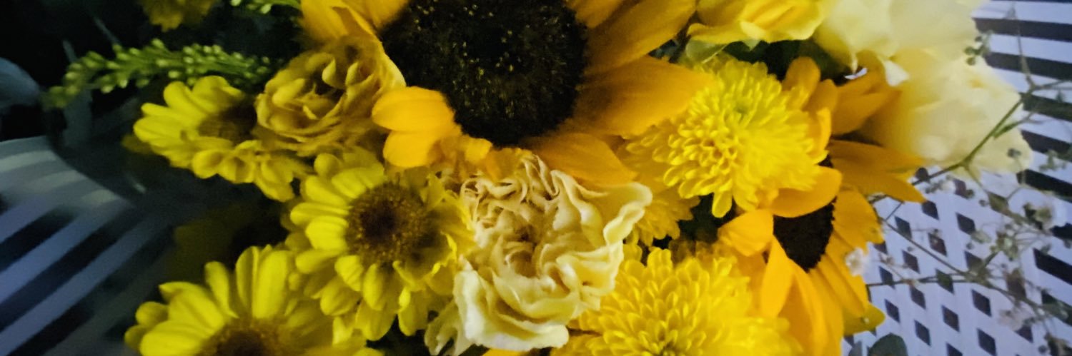 estrellagd's profile banner image