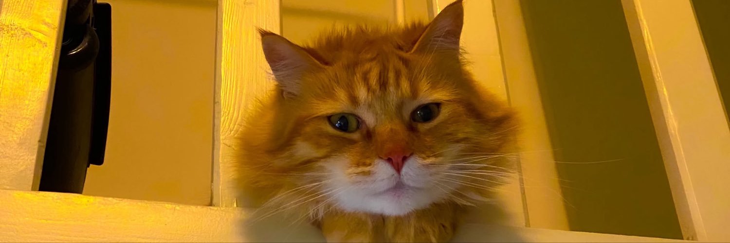 JoeBudet's profile banner image