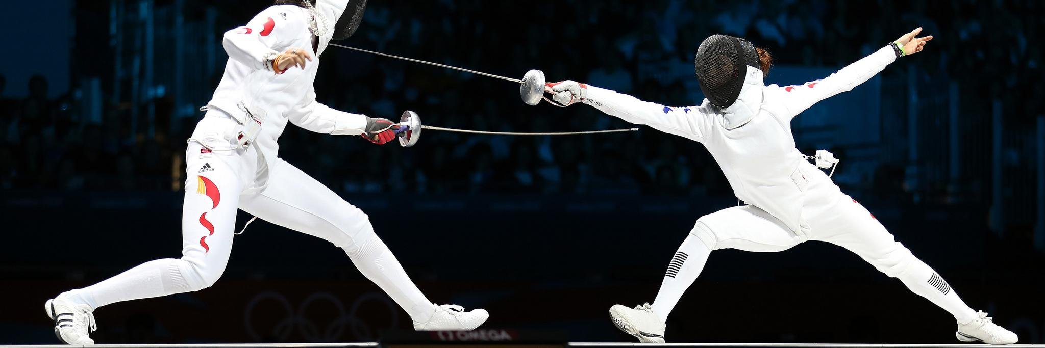 Barnstaple Fencing banner