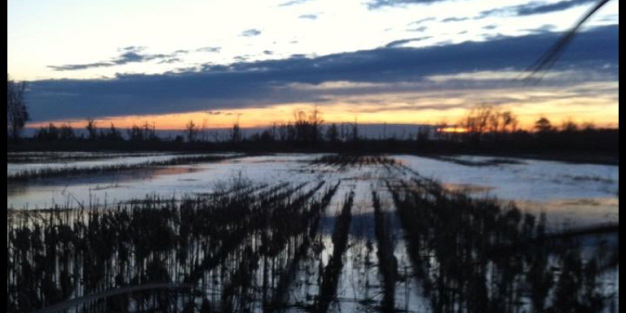 Austin Pritcher banner