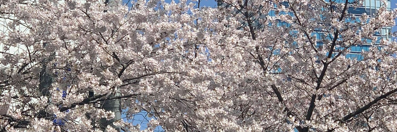 ange_tots's profile banner image