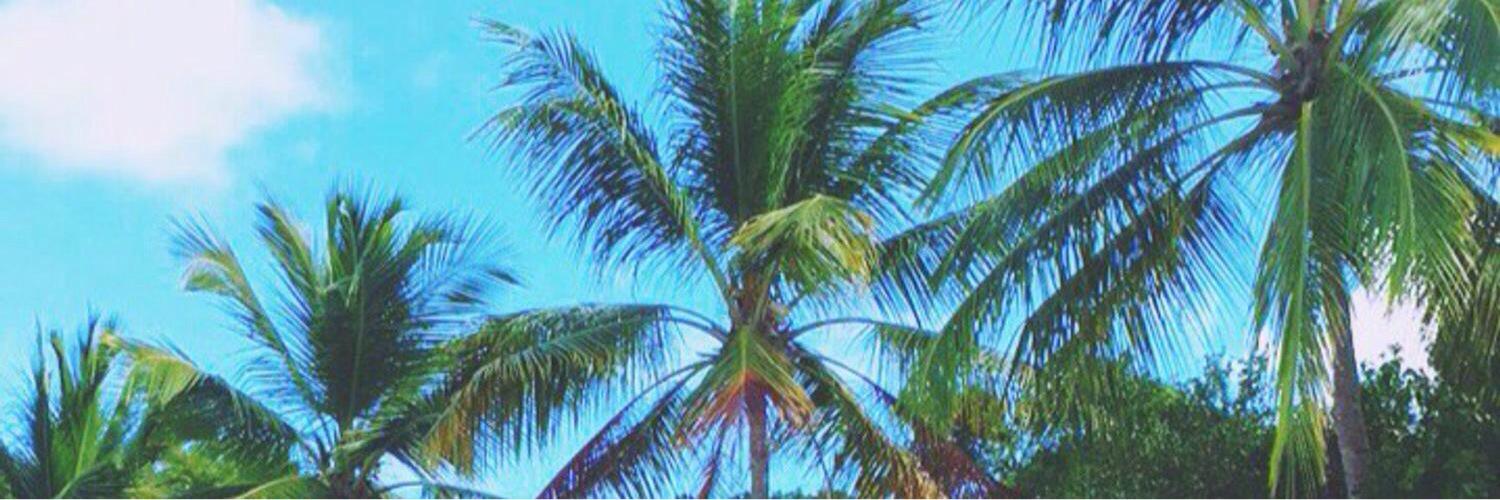 maya_stacks's profile banner image