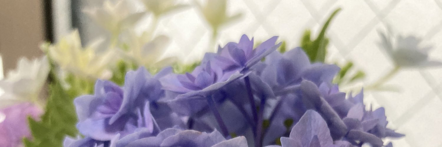 miyu_com's profile banner image
