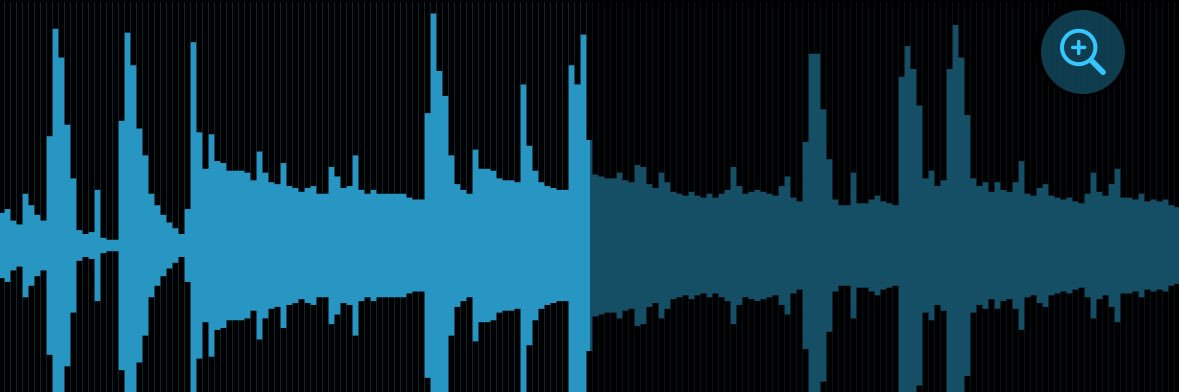 R O O T Z banner