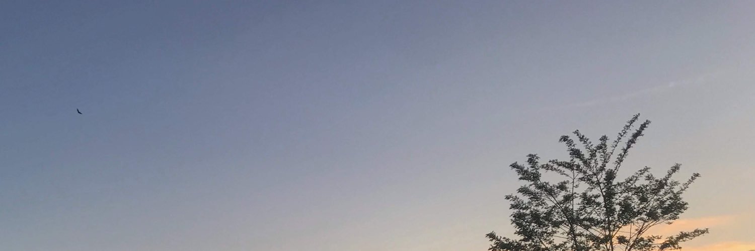 d___ms0's profile banner image