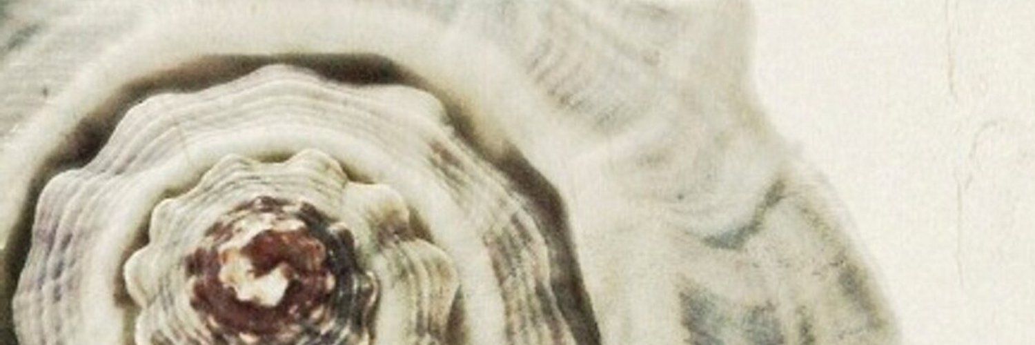 peehaign's profile banner image