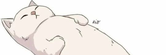 190671mg's profile banner image