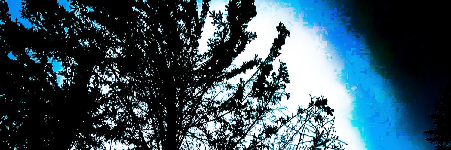 Carla Harris (they/she) banner