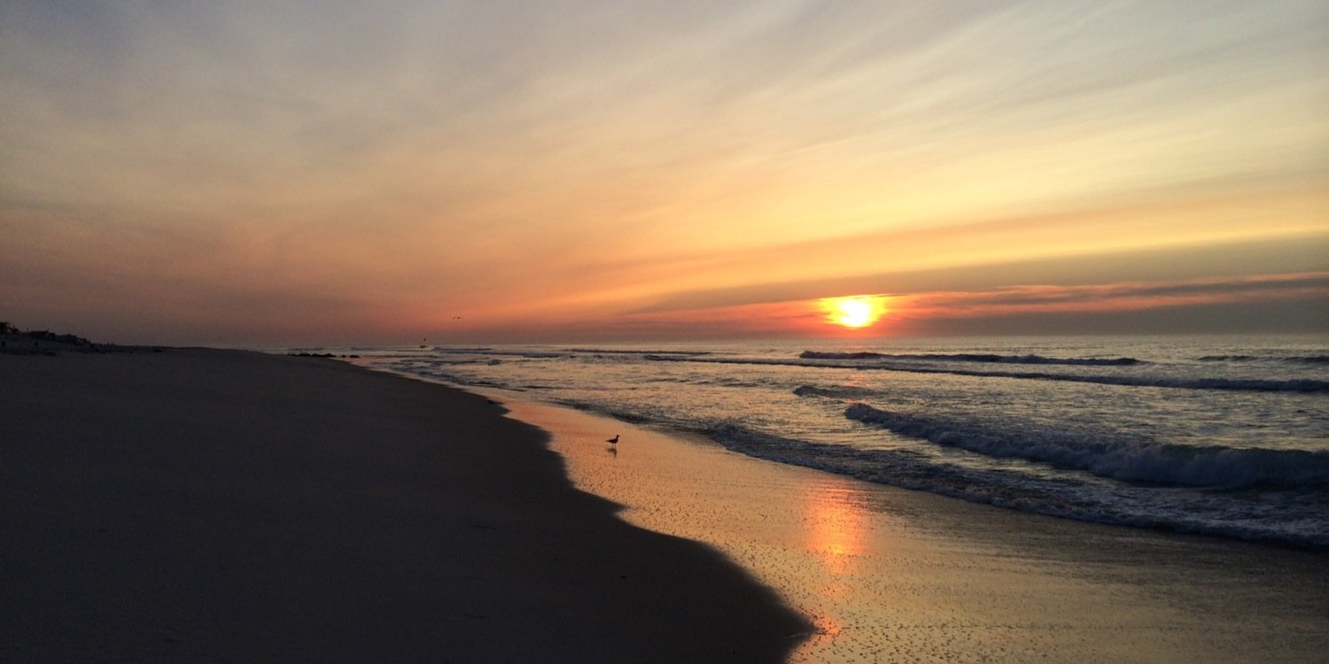 Rochelle McCarthy banner