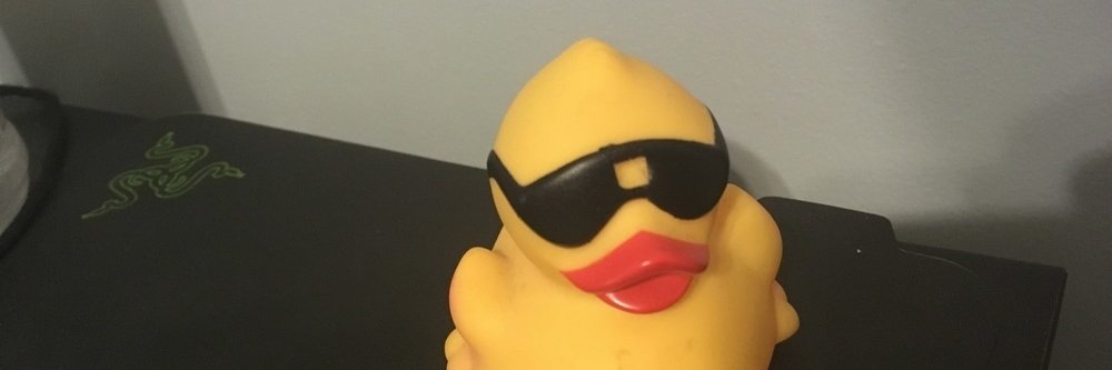 Seifeldin Mahjoub banner