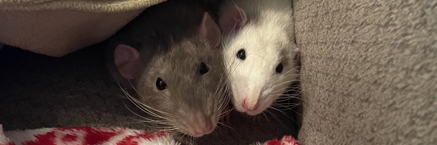 _gretchie's profile banner image