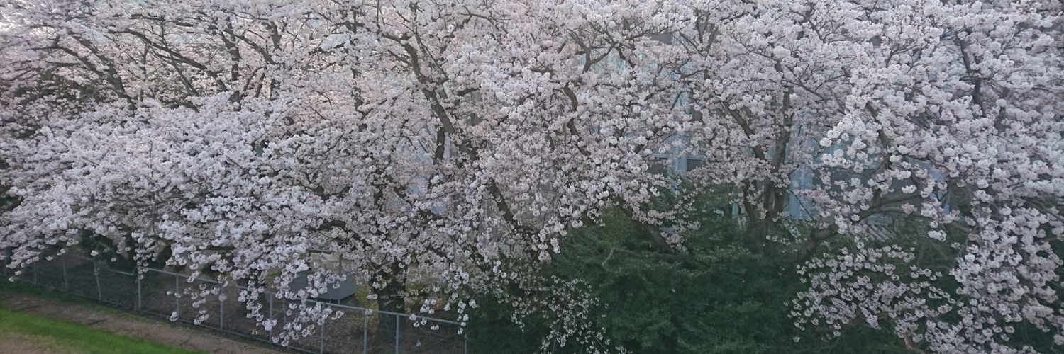 keinoado's profile banner image