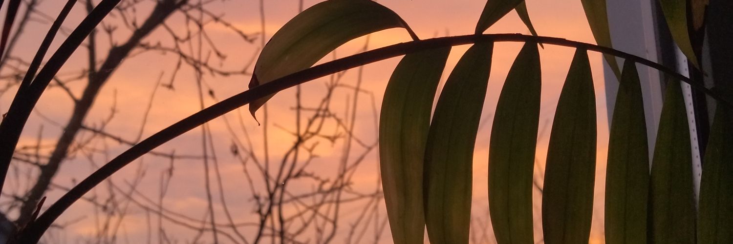 kapitann888's profile banner image