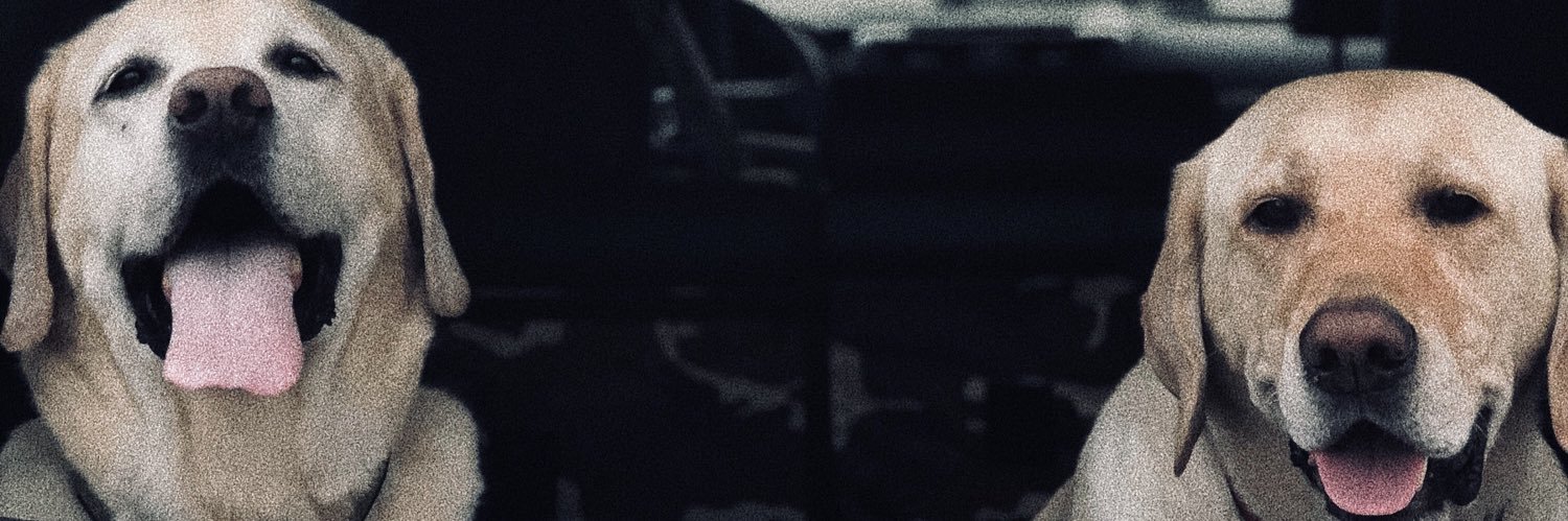 reeceneedham's profile banner image