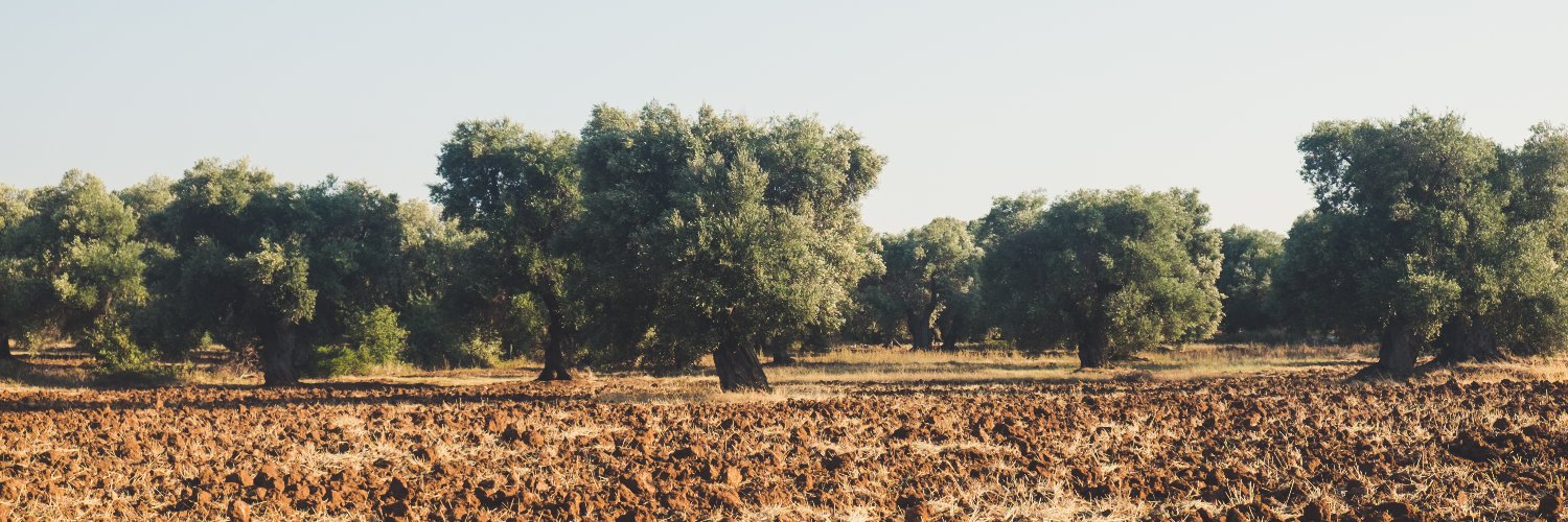 Simona Mila Capisani banner