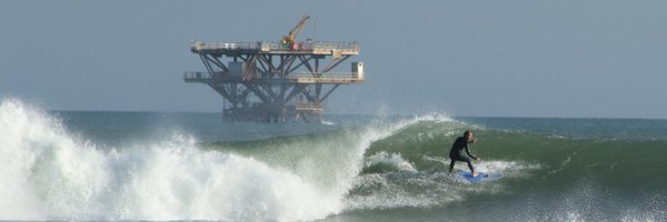 selacophile_dad Profile Banner